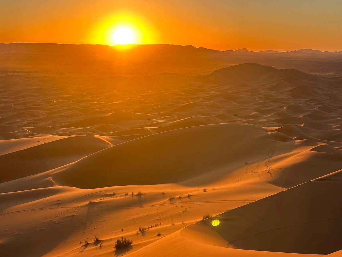 Desert landscape at sunset with vast dunes and a few camels